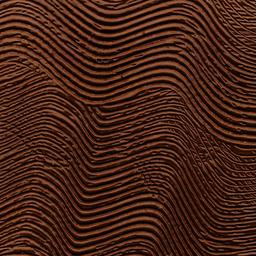 Brow Babe - BLACK FRIDAY